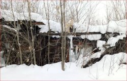 1/3 доля дома в Свердловской обл. 