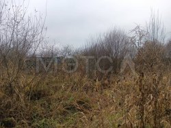 Земельный участок в Вологодской обл., 602+/-9 кв.м. 