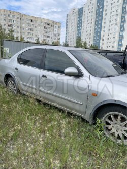 Nissan Maxima, 2001 года, 200 лс, АКПП 