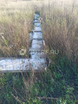 Карапетян Д.А. Земельный участок, (село Черноречье, кадастровый номер: 63:17:0803008:3666)