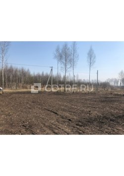 Торги имуществом Павловской Д.В. Земельный участок Тульская обл., д. Скрипово