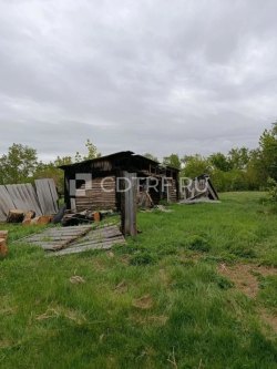 Продажа дома в с. Прыганка Алтайского края