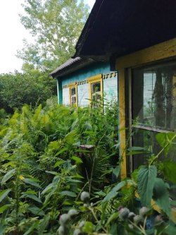 1/4 доля дома и 1/4 доля земельного участка в Смоленской обл. 