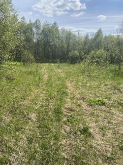 Земельные участки (16 поз.) - 52 310 +/- 162 кв. м, адрес: Ярославская обл., Переславский р-н, с/о…