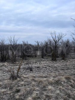 Земельный участок в Элисте, 600 кв.м. 