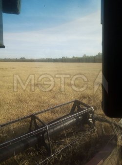 1/21 доля земельного участка в Самарской обл. 