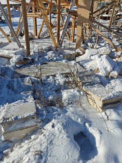 Тележка погрузочная для транспортировки рулонов стали весом до 20тн, 2023 года 