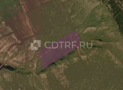 Земельный участок, кадастровый номер: 38:19:070402:823, площадь: 103000 +/- 2808. Лот №1