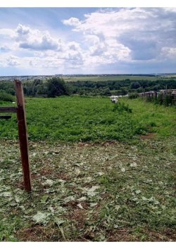 Земельный участок, жилое помещение (здание)