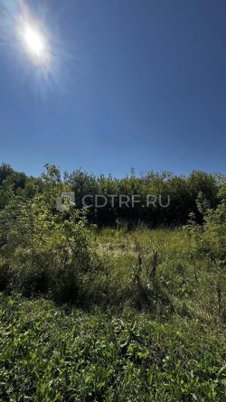 Краснова И.И. Земельный участок, площадь 1500 кв.м., Республика - Чувашия, Козловский р-н