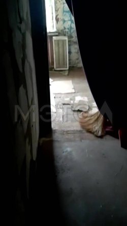 Квартира в Московской обл., 28,8 кв.м, 1 комн. 
