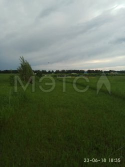 Земельный участок в Новосибирской обл., 10003+/-875 кв.м. 
