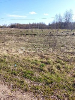 Земельный участок. Смоленская область, Смоленский район, с.п. Талашкинское, д. Муханино.