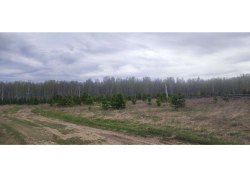 Земельный участок