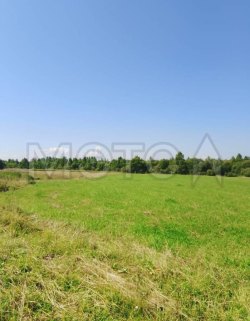 1/4 доля земельного участка в Ярославской обл. 