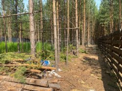 Земельный участок в Красноярском крае, 984 кв.м. 