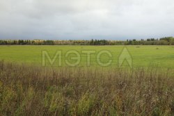 Земельный участок в Ленинградской обл., 356680 кв.м. 