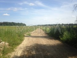 Земельный участок в Ленинградской обл., 70000 кв.м. 