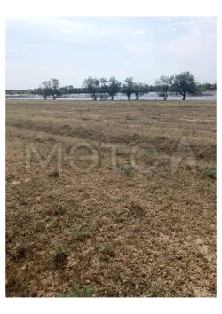 Земельный участок в Астраханской области, 450 +/- 7 кв.м. 