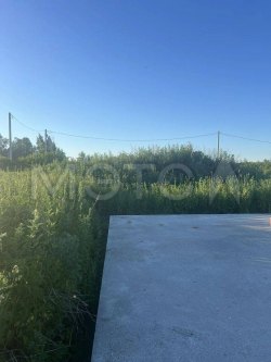 Земельный участок в Томской обл., 1500 кв.м. 