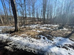 Земельный участок в Ленинградской обл., 1000 кв.м. 