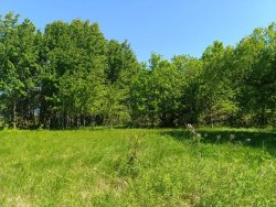 Земельный участок - 66 300 +/- 2 253 кв. м, местоположение установлено относительно ориентира…
