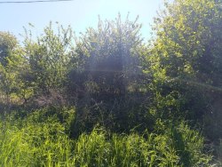 Земельный участок - 25 327 +/- 1 393 кв. м, адрес: Калининградская обл., Зеленоградский р-н, вблизи…