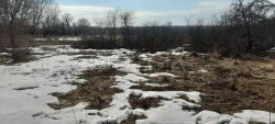 Земельный участок в Орловской обл., 590 кв.м. 