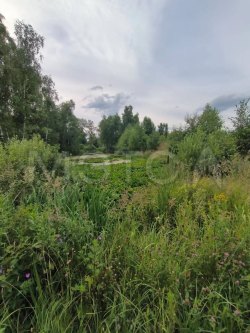 1/4 доля земельного участка в Московской обл. 