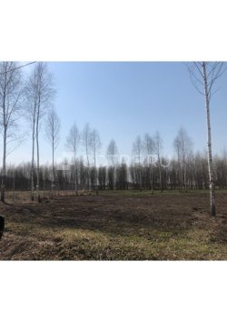 Торги имуществом Павловской Д.В. Земельный участок Тульская обл., д. Скрипово