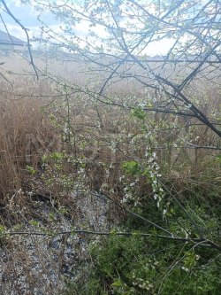 Земельный участок в Карачаево-Черкесии, 800+/-10 кв.м. 