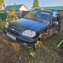 Цимбалюк Е.М. Шевроле Нива , Х9Д21230060108133, 2005, 63МЕ134498, г\н В806АО156