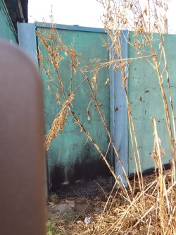  1/12 доли в праве на жилой дом, площадь: 49,5 кв.м, назначение: Жилое, кадастровый (условный)…