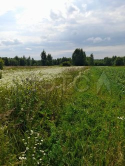 Земельный участок в Костромской обл., 780,1 кв.м. 