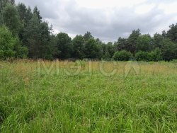 Земельный участок в Псковской обл., 678+/-9 кв.м. 