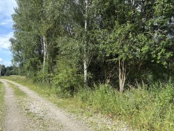 Земельный участок, кадастровый № 33:06:080201:1036, виды разрешенного использования: для…