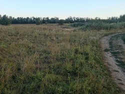 Земельный участок с кадастровым номером 61:06:0020701:85, номер кадастрового квартала:…