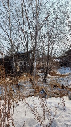 Индивидуальный жилой дом, земельный участок в ЕАО